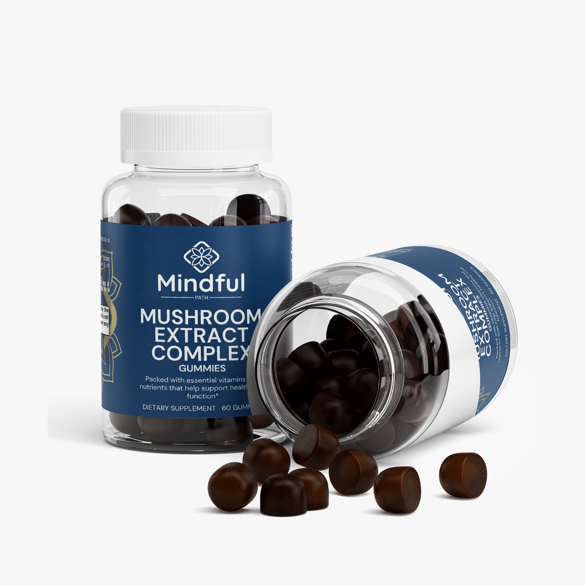 Mushroom Extract Complex supplement facts panel 3 - Mindful Path